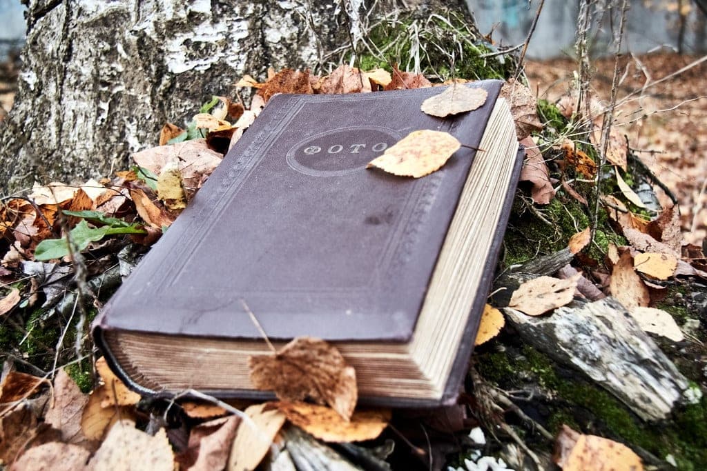 An old leather photo album lying on autumn leaves